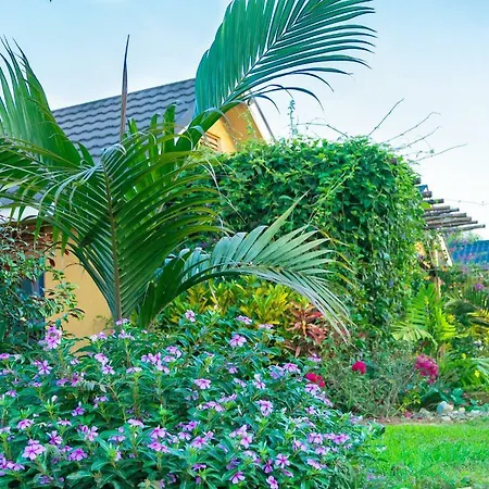 Nyange And Marina Resort